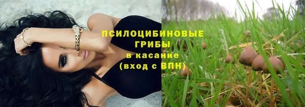 СК Абинск