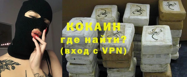 соль ск Абаза